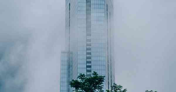 外国被智能机器人的控制