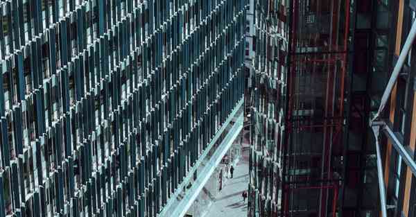 外国语单招大数据的行业文章