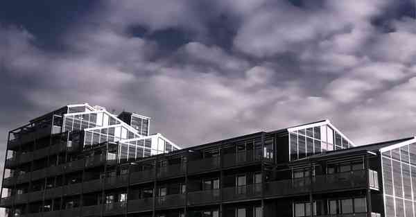 外国语单招大数据的行业文章