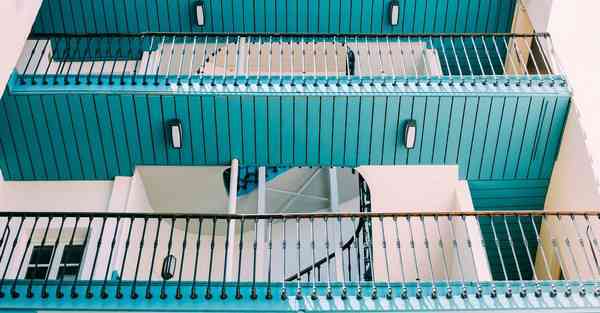 外国语单招大数据的行业文章