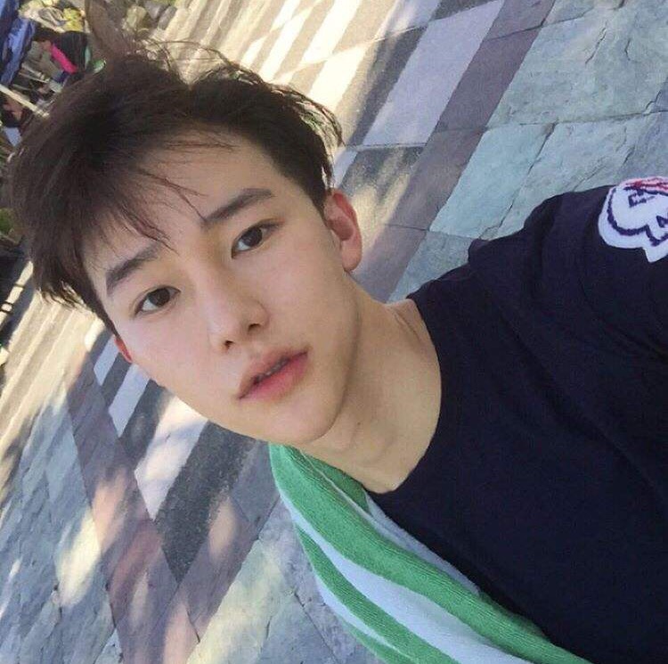庞凤永绿