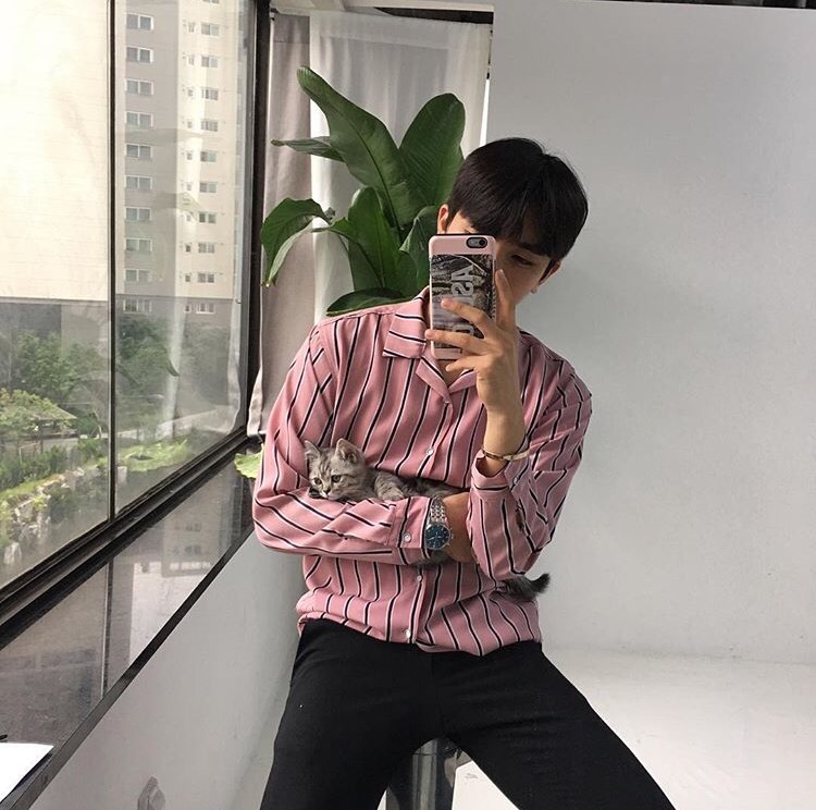 桑桂菁艳