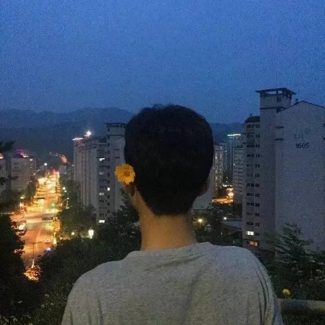 龙月昭巧