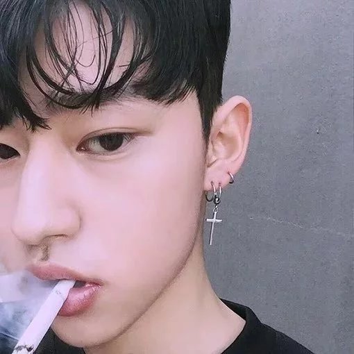 窦荔丽睿