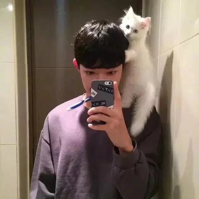 颜勤荷旭